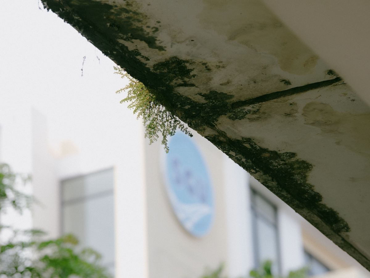 Mould growth in Thai villa